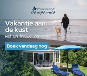 Bungalowpark campanula
