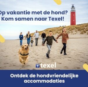 Texel